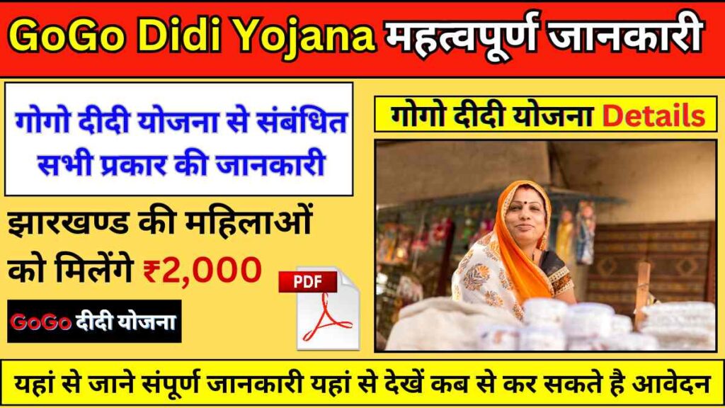 GoGo Didi Yojana Details